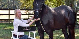 professional-equestrian-follows-her-heart-back-to-pensacola