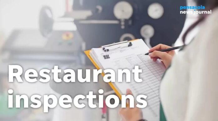 july-restaurant-inspections-are-in:-cockroaches-detected-in-kitchen-of-one-milton-eatery