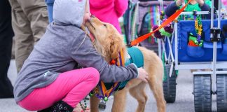 mardi-gras:-kids-and-kritters-parade-on-pensacola-beach