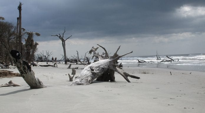 10-of-our-favorite-beaches-from-all-across-florida