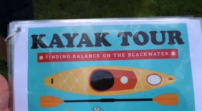 experience-ecotourism:-take-kayak-tour-of-blackwater-river,-pensacola-bay