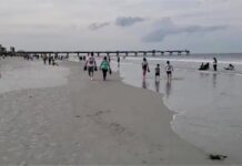 florida-spring-break-2022:-beach-webcams-show-waves,-crowds-amid-covid-pandemic